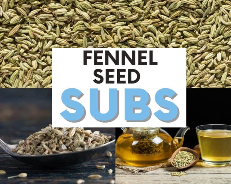 Savor the Swap: 7 Stellar Substitutes for Fennel Seeds