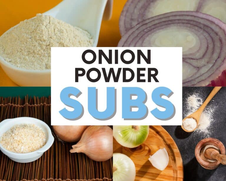 10 Best Substitutes for Onion Powder