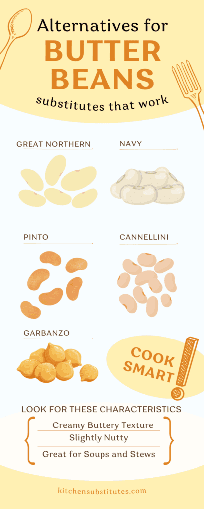 Alternatives for butter bean infographic