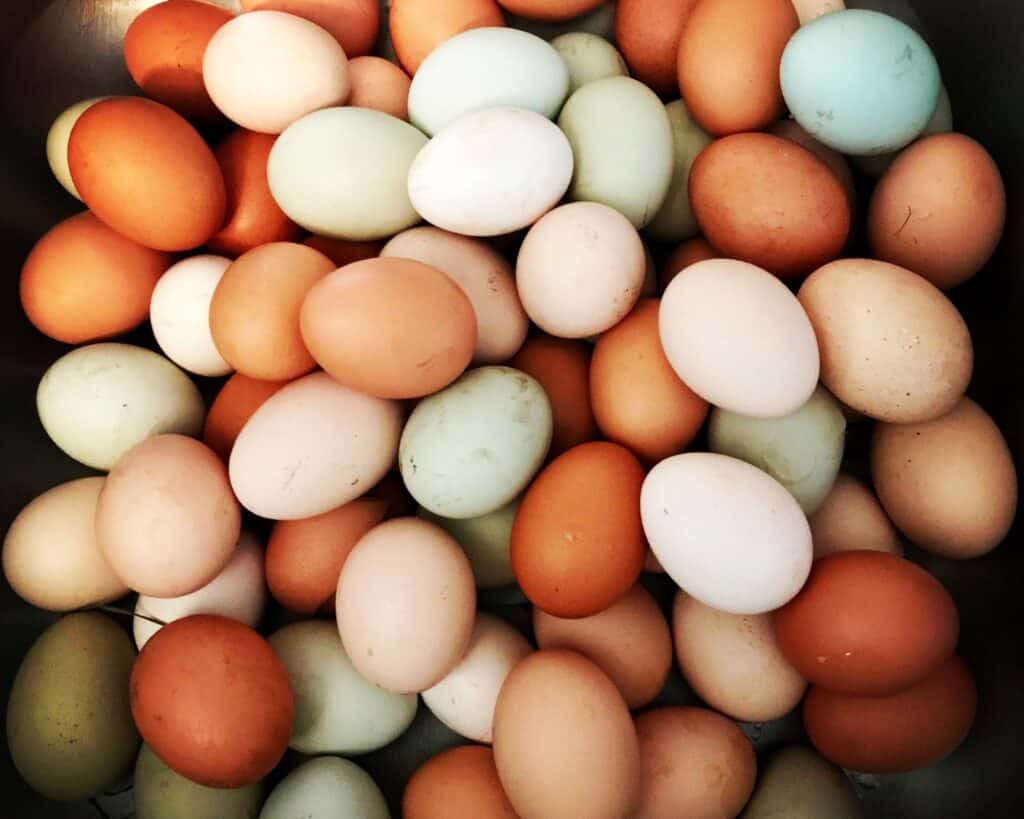 E foods: Eggs