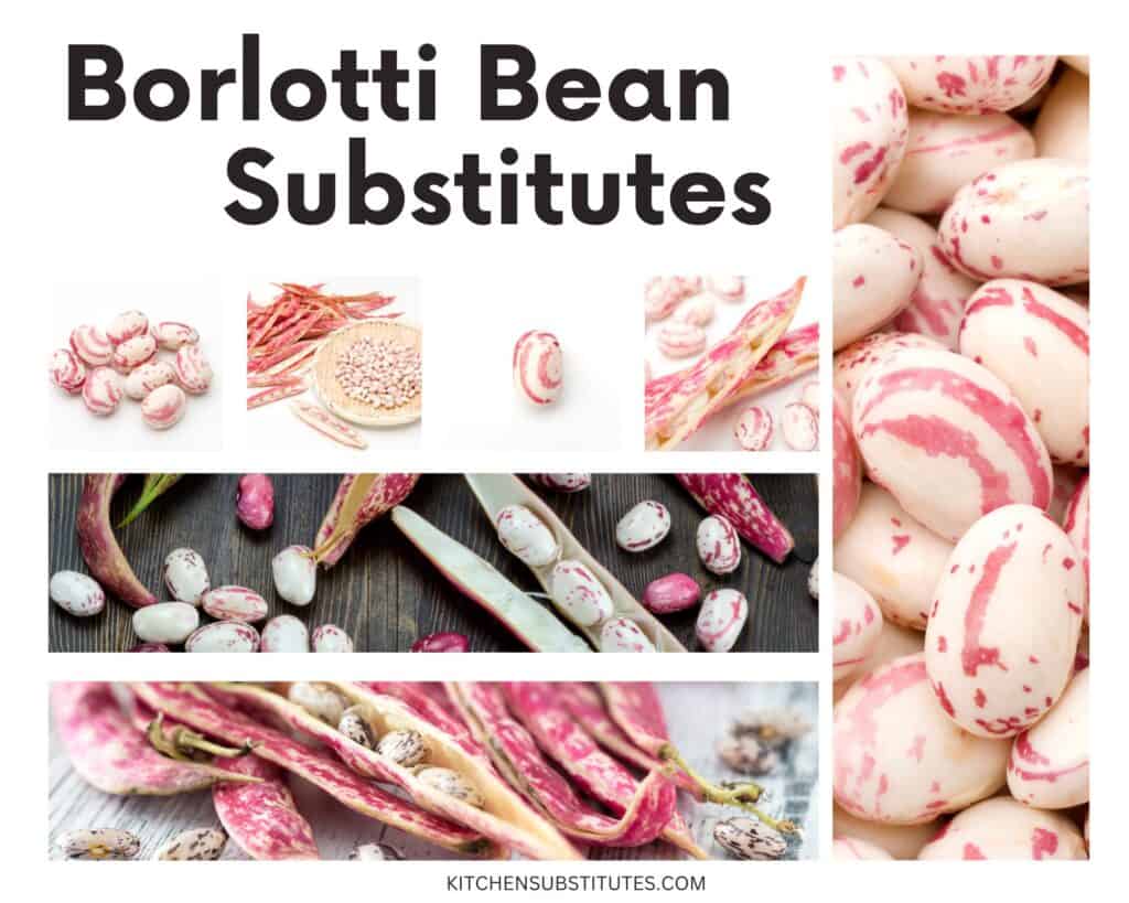 Borlotti Bean Substitutes 