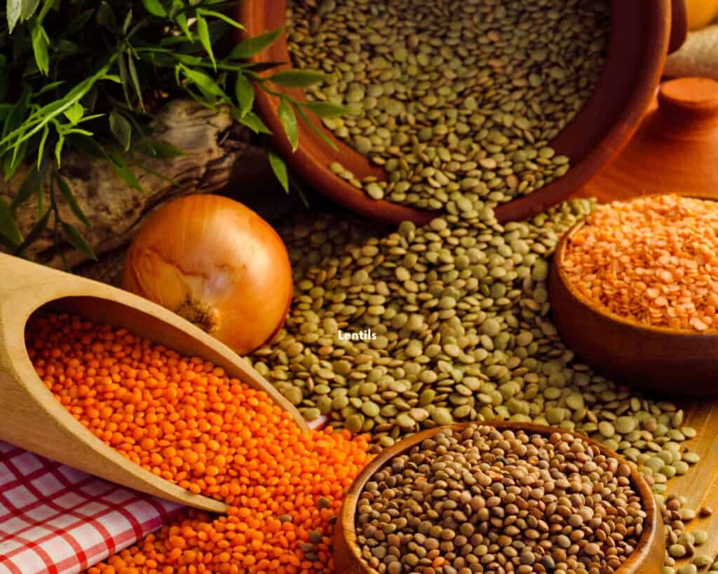 food starting with l - lentils