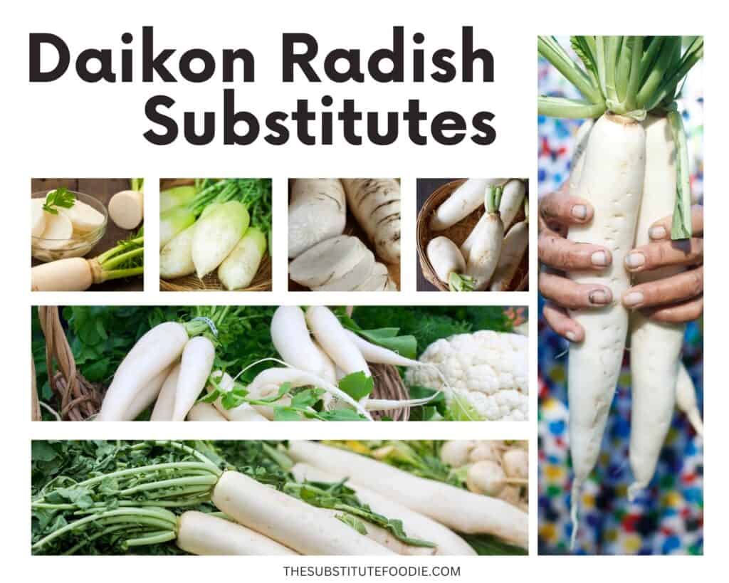 Daikon Radish Substitutes