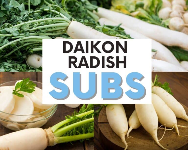 The BEST Daikon Radish Substitutes