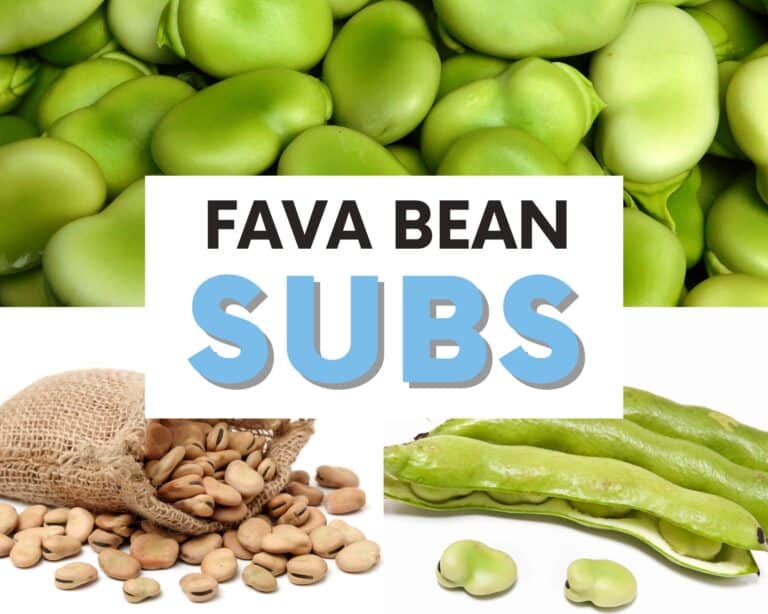 Fava bean or Broad Bean Substitutes