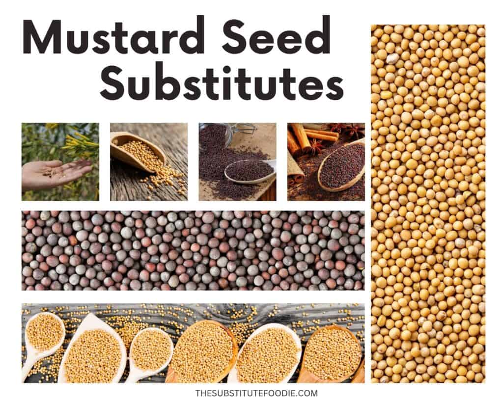 Mustard Seed Substitutes