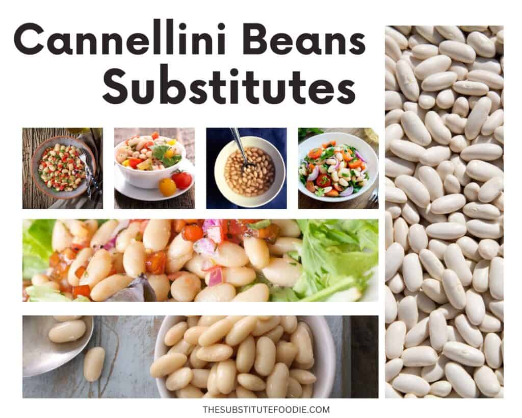 Substitutes for Cannellini Beans