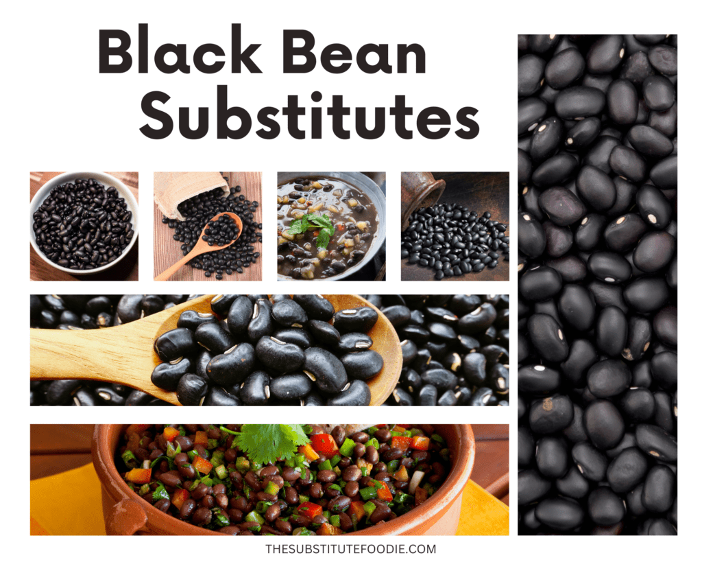 Black bean substitutes 