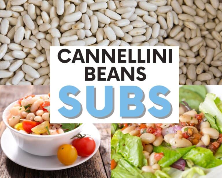 The BEST Substitutes for Cannellini Beans