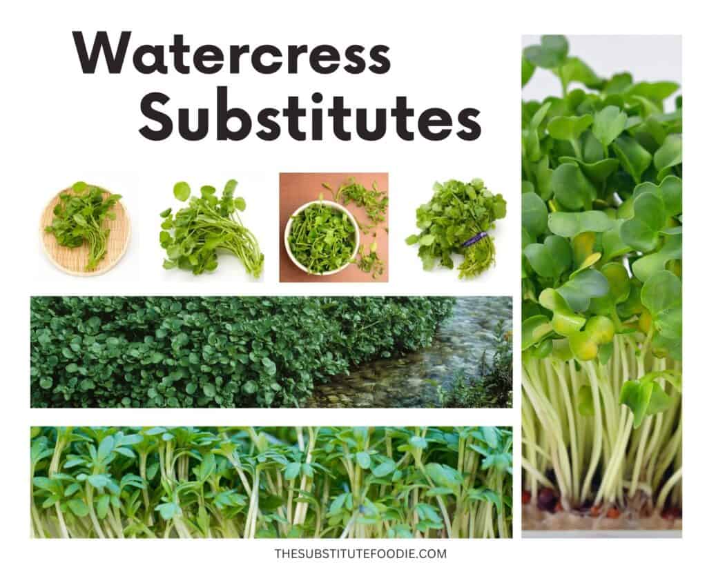 Watercress Substitutes 