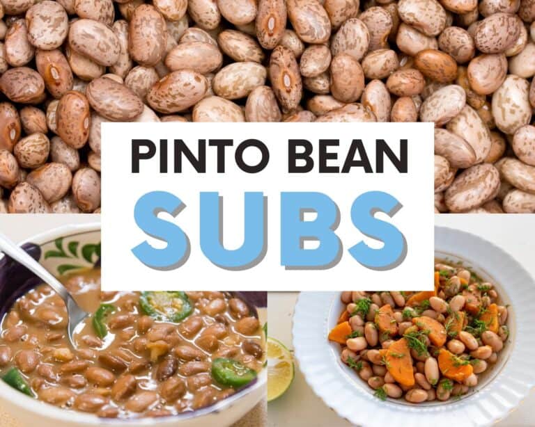 The Best Pinto Bean Substitutes To Use