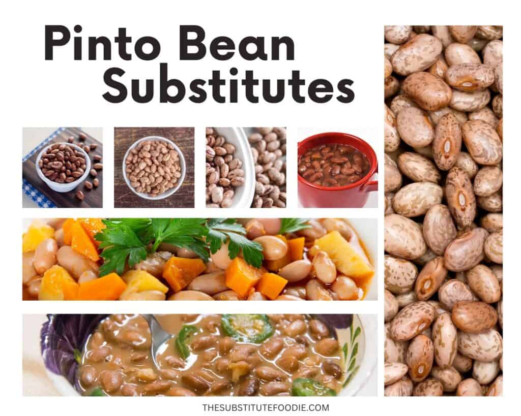 Pinto Bean Substitutes