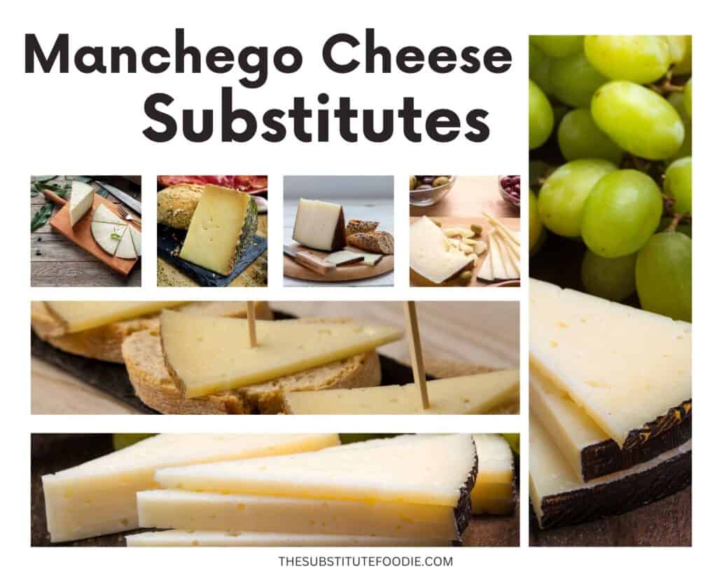 Manchego Cheese Substitutes