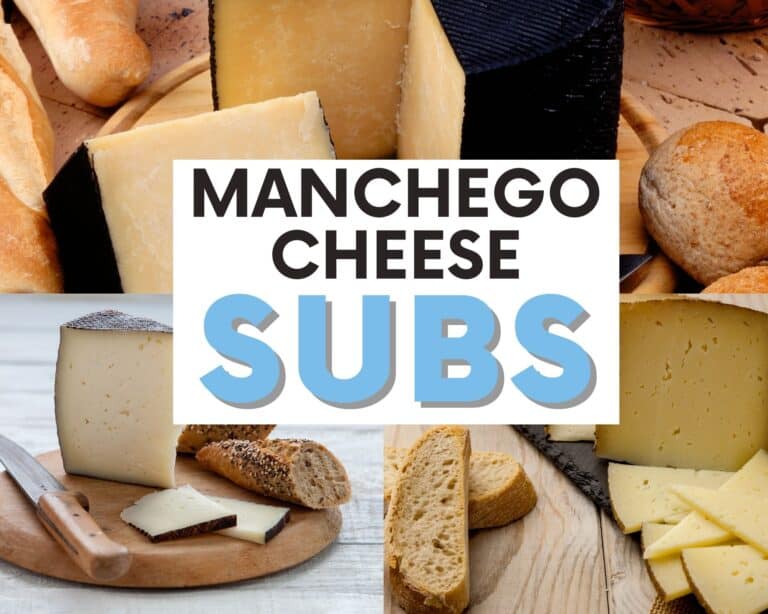 Manchego cheese substitute