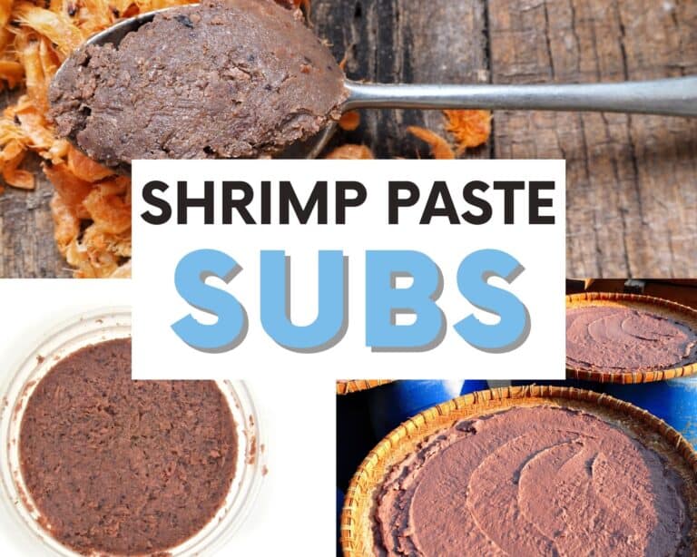The BEST Shrimp Paste Substitutes That Work Like The Real Deal