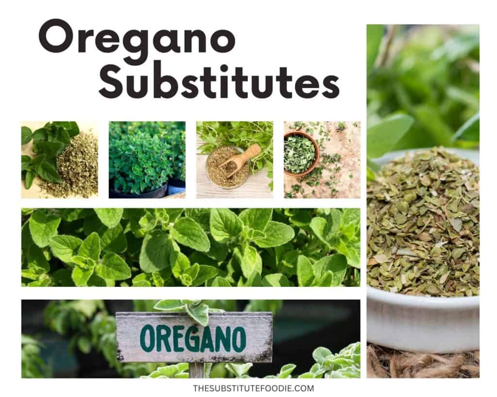 Substitutes for Oregano