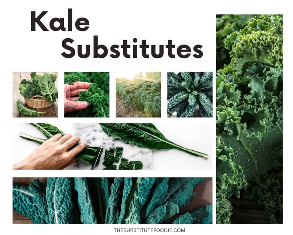 Kale Substitutes