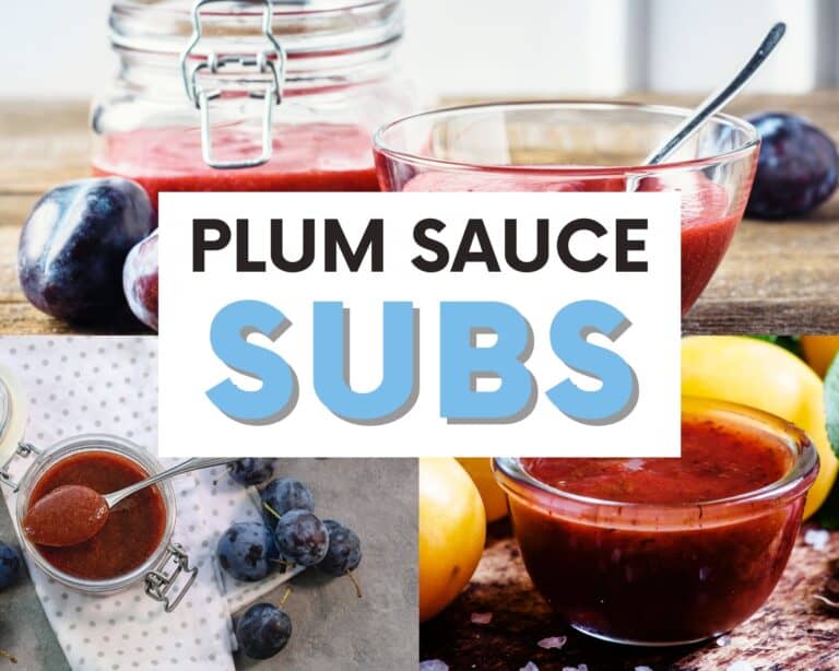 The BEST Plum Sauce Substitutes To Try
