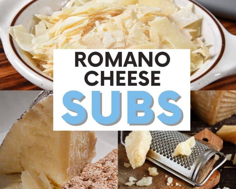 The BEST Substitutes for Romano Cheese