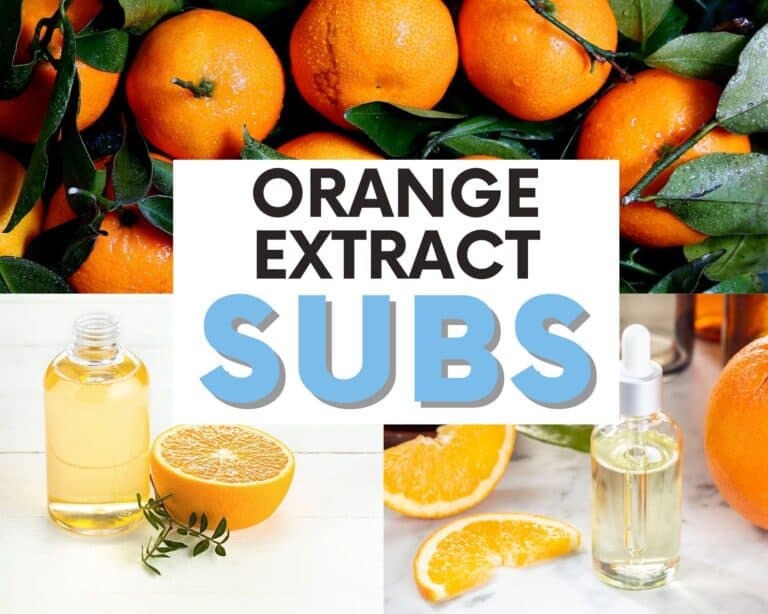 The BEST Orange Extract Substitutes To Use
