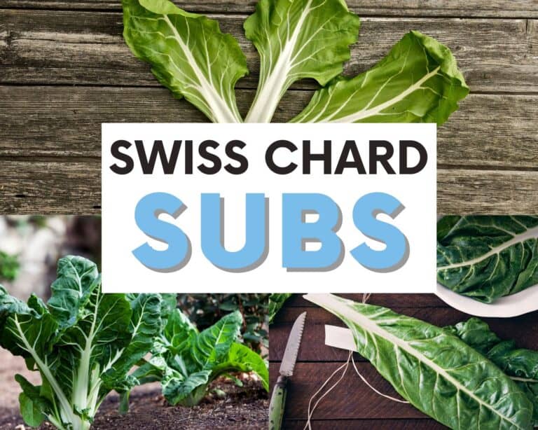 The BEST Swiss Chard Substitutes To Use