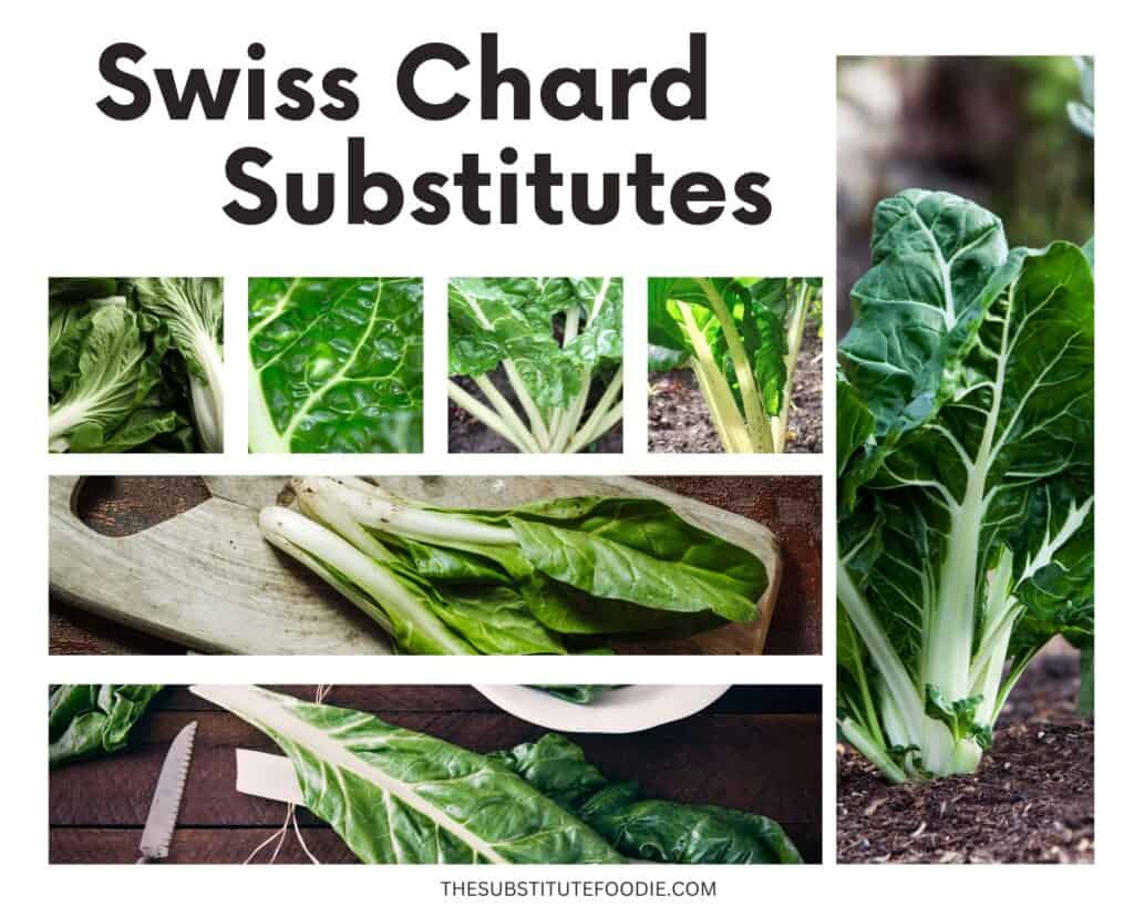 swiss chard substitutes