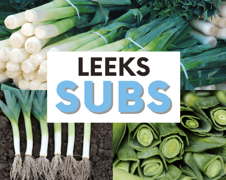 substitutes for leeks