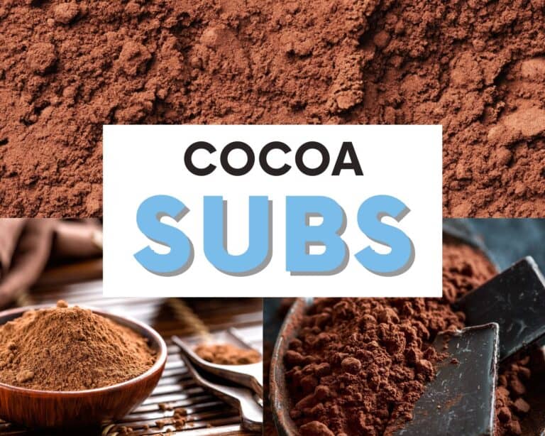 The BEST Cocoa Powder Substitutes To Use