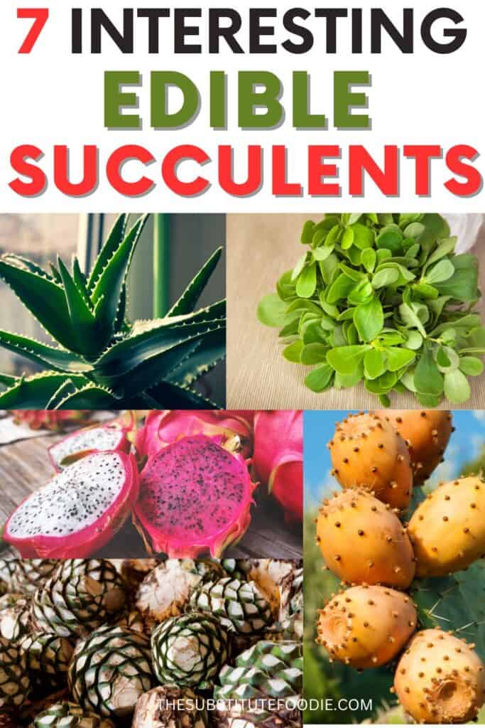 Edible Succulents