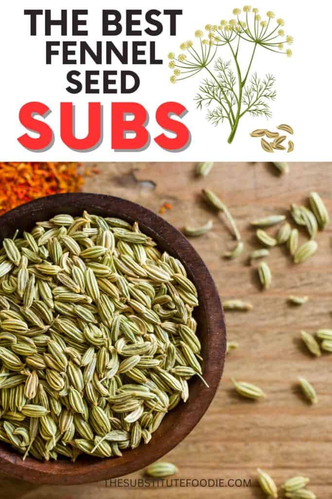 Substitutes for Fennel Seeds