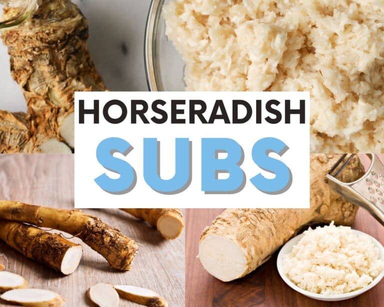 Bold Bites: Spice Things Up with 8 Horseradish Substitutes